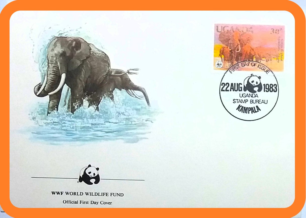 FDC