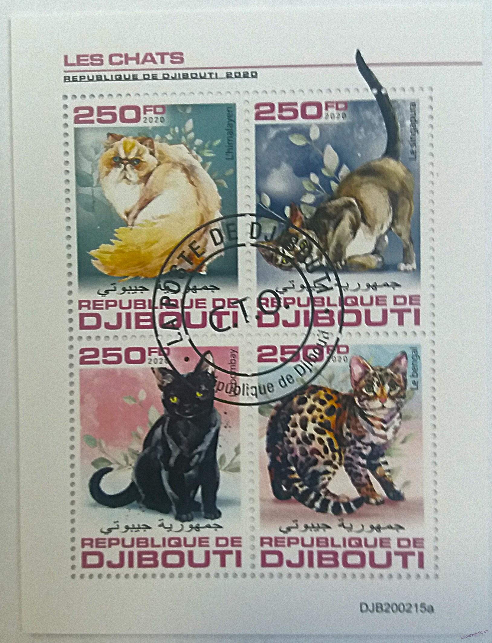 Aršík Djibouti - kočky