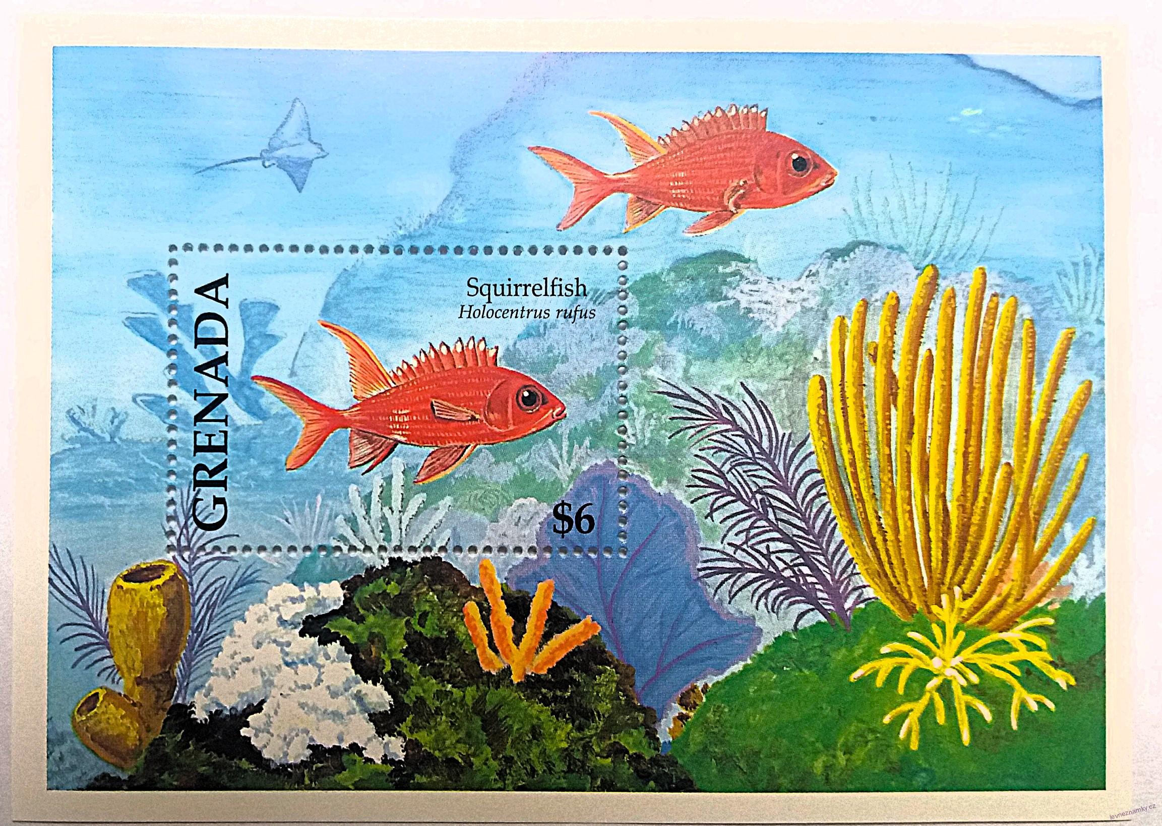Aršík Grenada - ryby