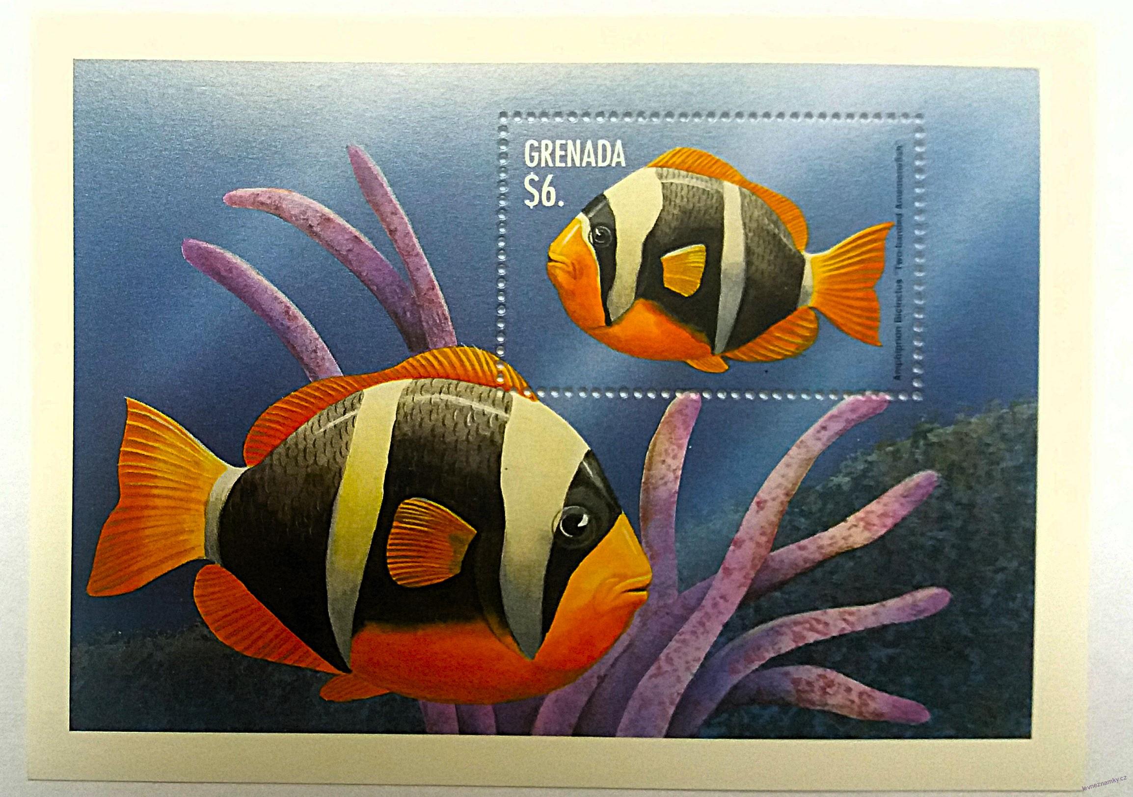 Aršík Grenada - ryby