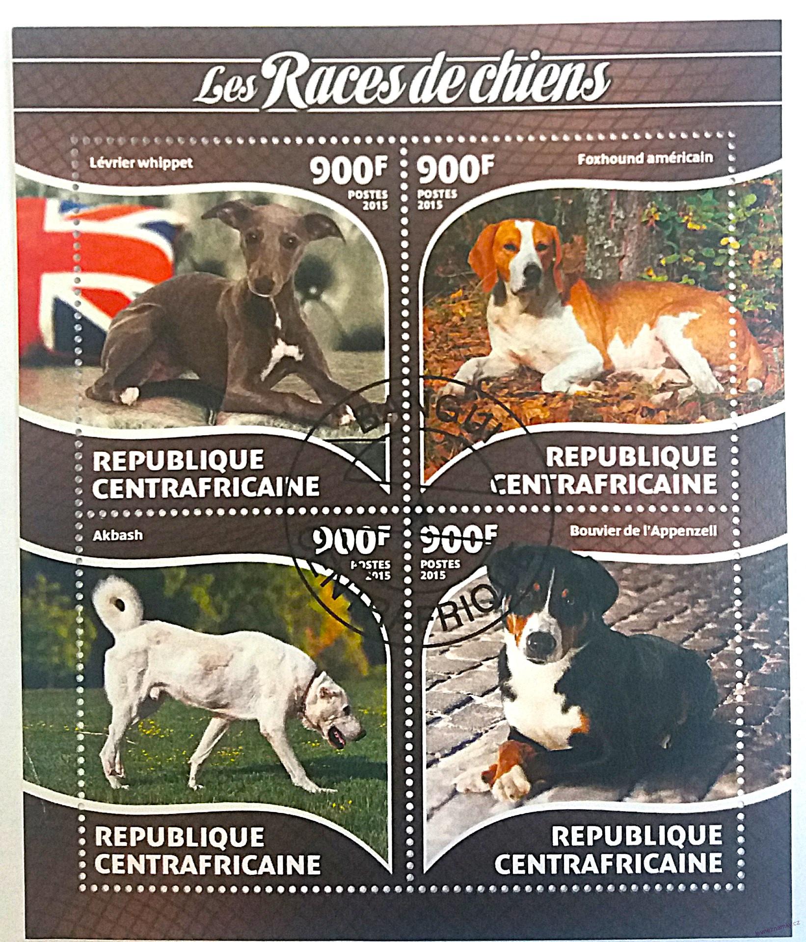 Aršík CentrAfrica - psi