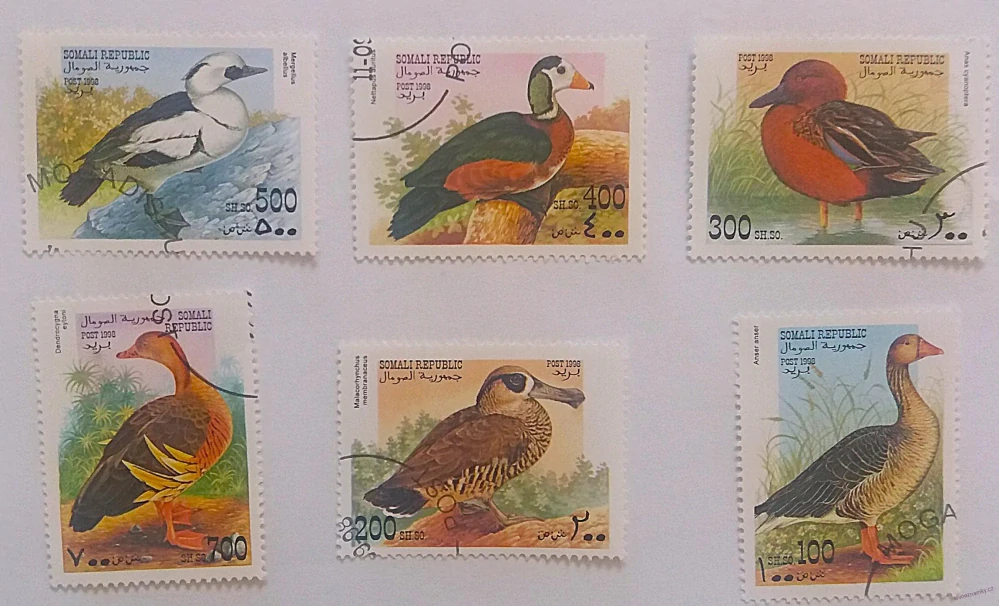 Sestava známek - Somali - kachny