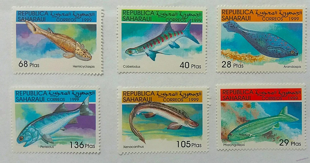 Sestava známek - Saharaui - ryby - čisté