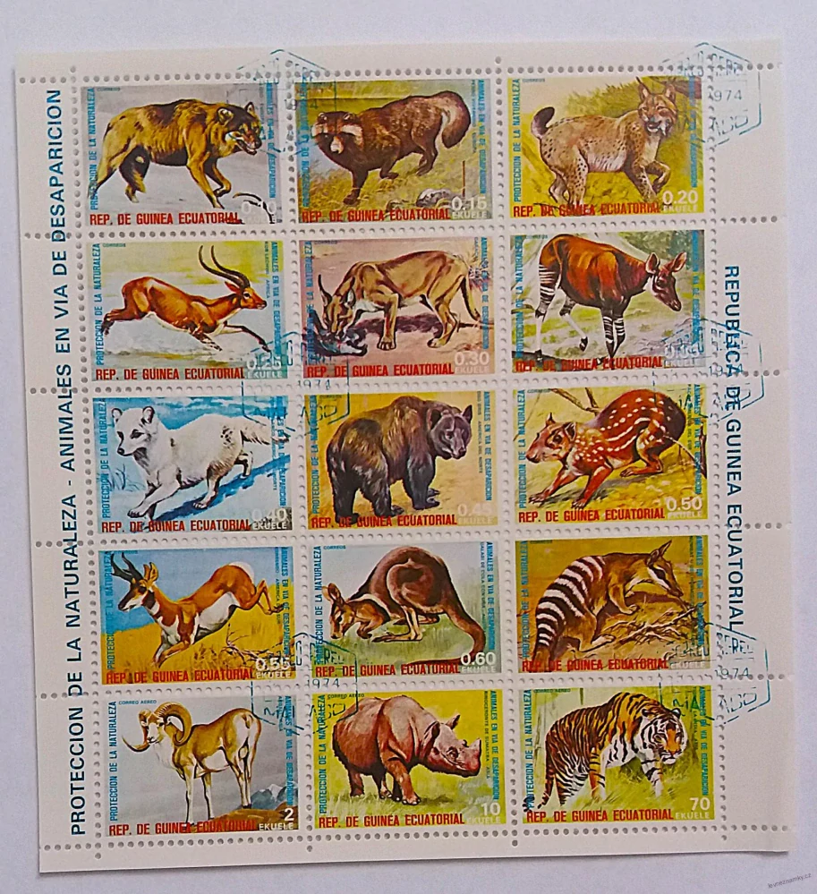 Aršík - Guinea Ecuatorial - divoká fauna
