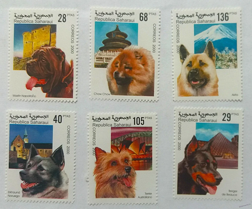 Sestava známek - Saharaui - psi - čisté