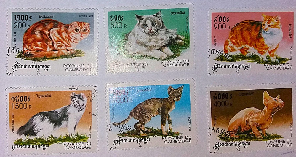 Sestava známek - Cambodge - kočky