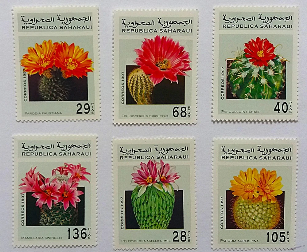 Sestava známek - Saharaui - kaktusy - čisté