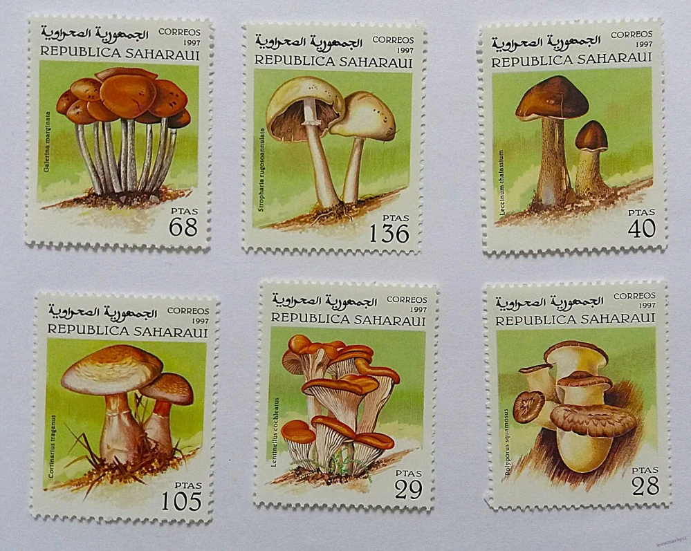 Sestava známek - Saharaui - houby - čisté