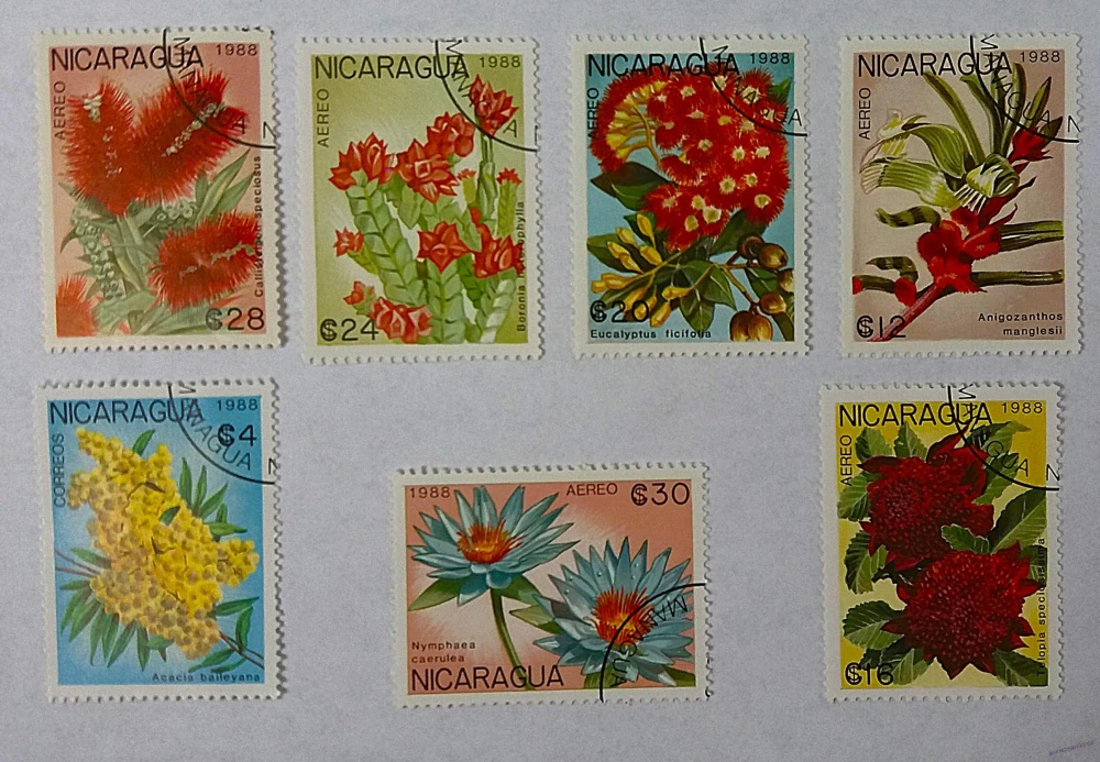 Sestava známek - Nicaragua - flóra