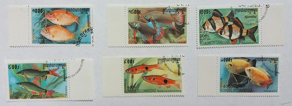 Sestava známek - Cambodge - ryby