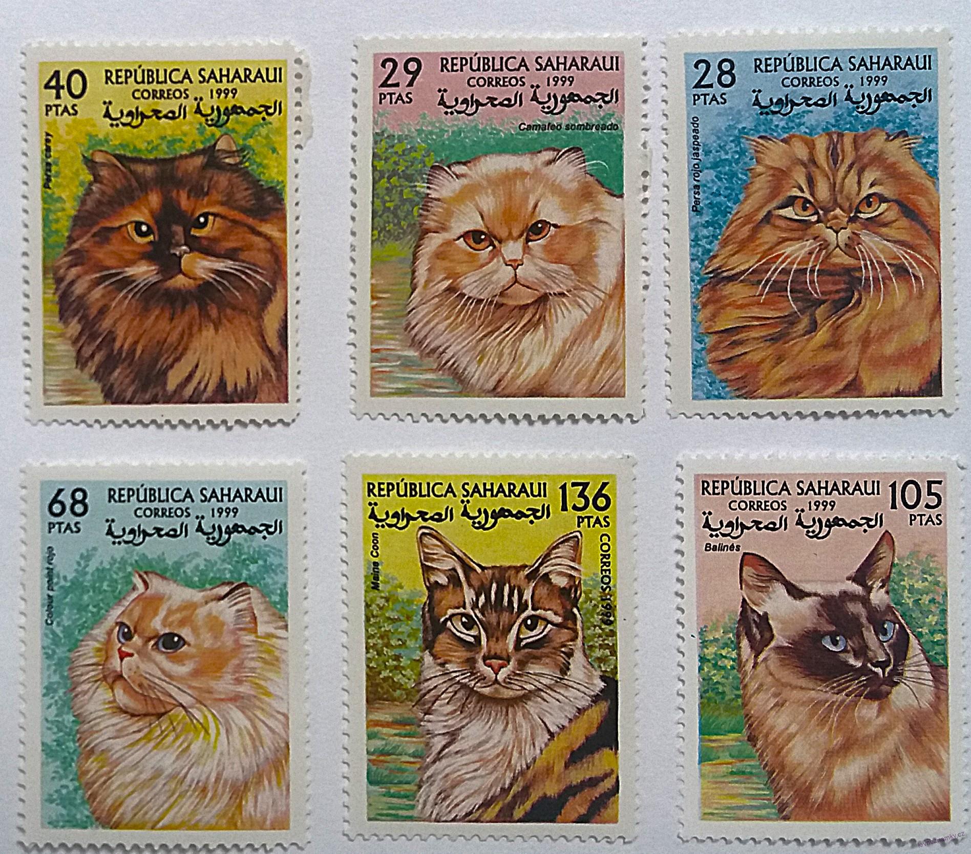Sestava známek - Sahara - kočky - čisté