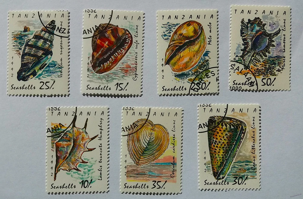 Sestava známek - Tanzania - mušle