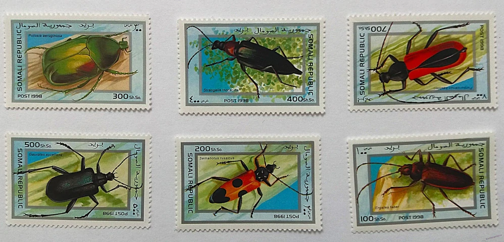 Sestava známek - Somali - brouci