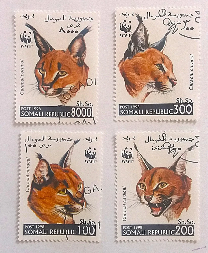 Sestava známek - Somali - divoké kočky