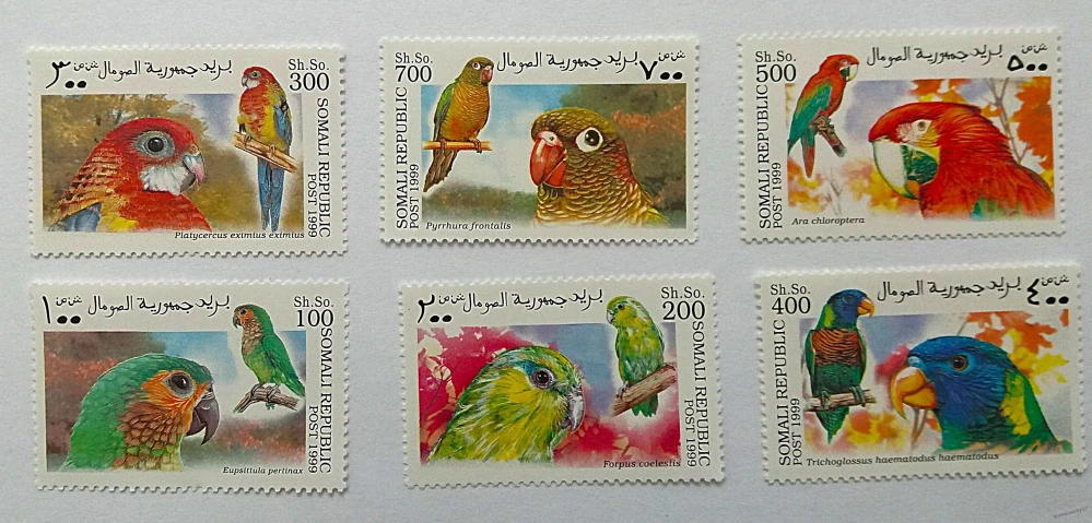 Sestava známek - Somali - papoušci - čisté