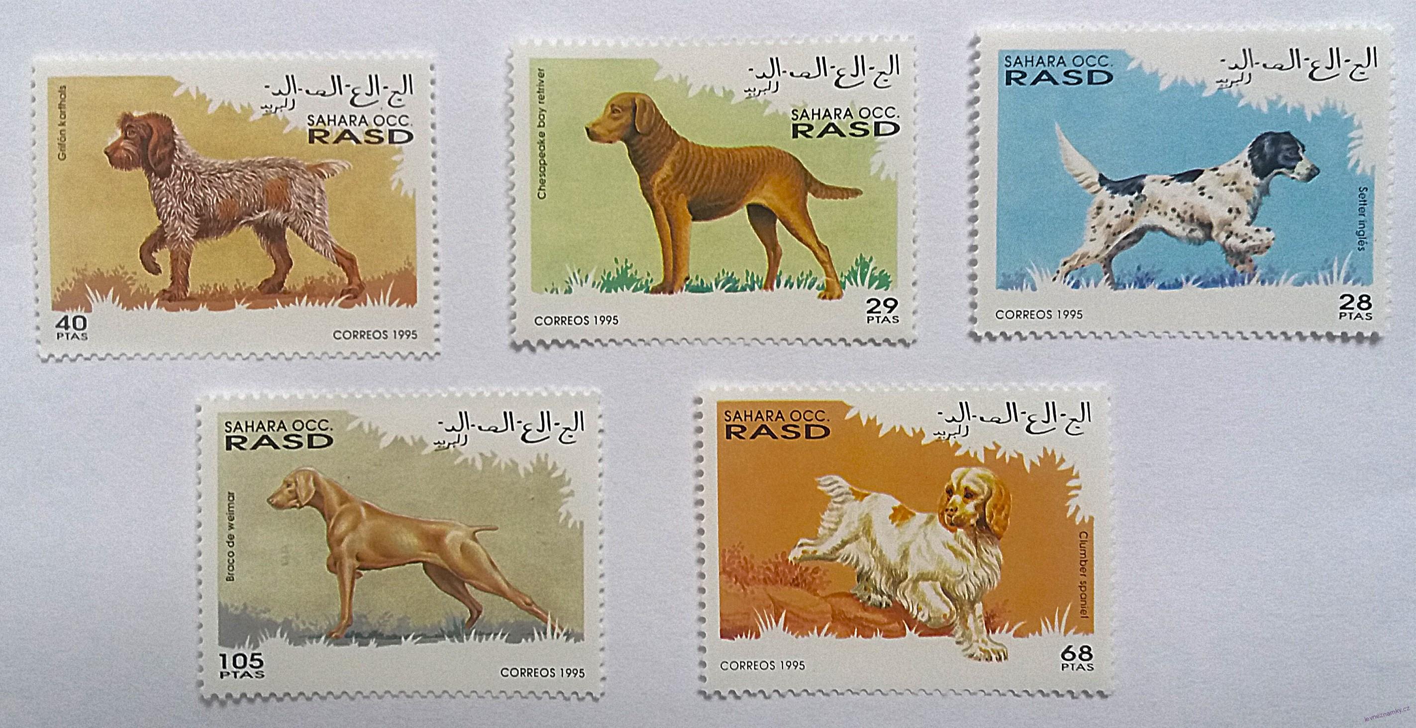 Sestava známek - Sahara - psi - čisté