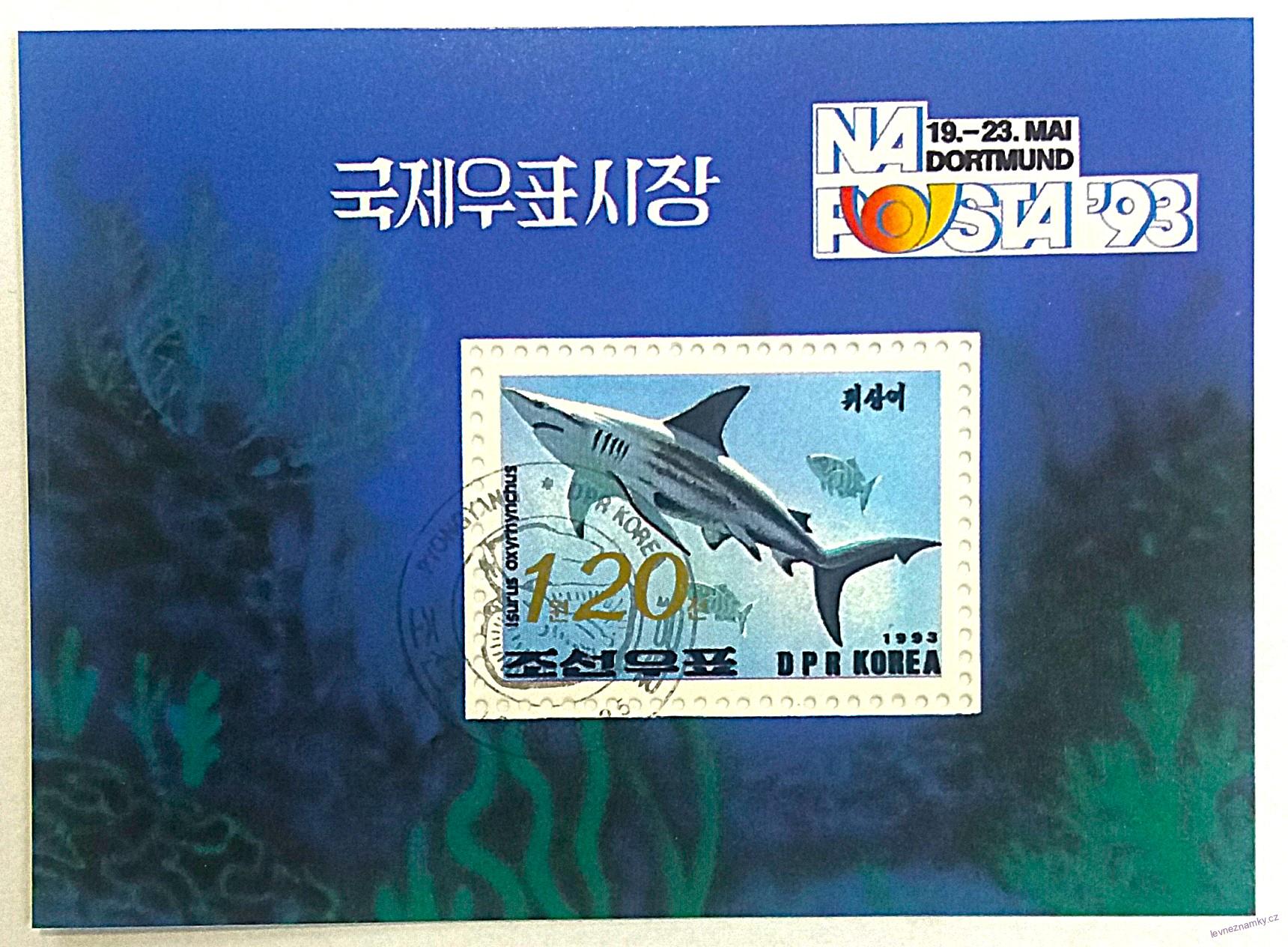 Aršík Korea - žralok