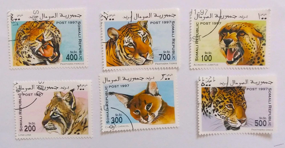 Sestava známek - Somali - divoké kočky