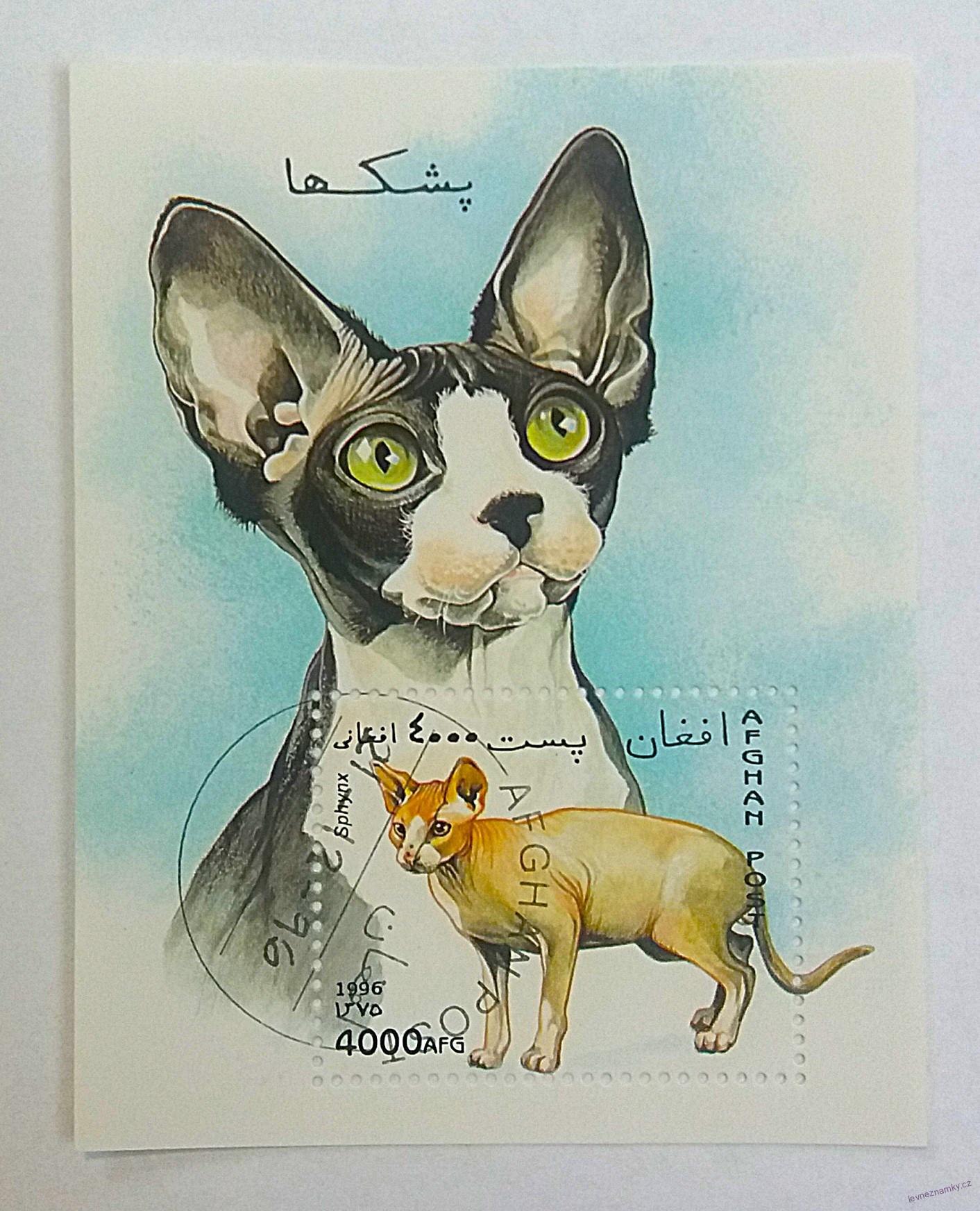 Aršík Afghan post - kočky