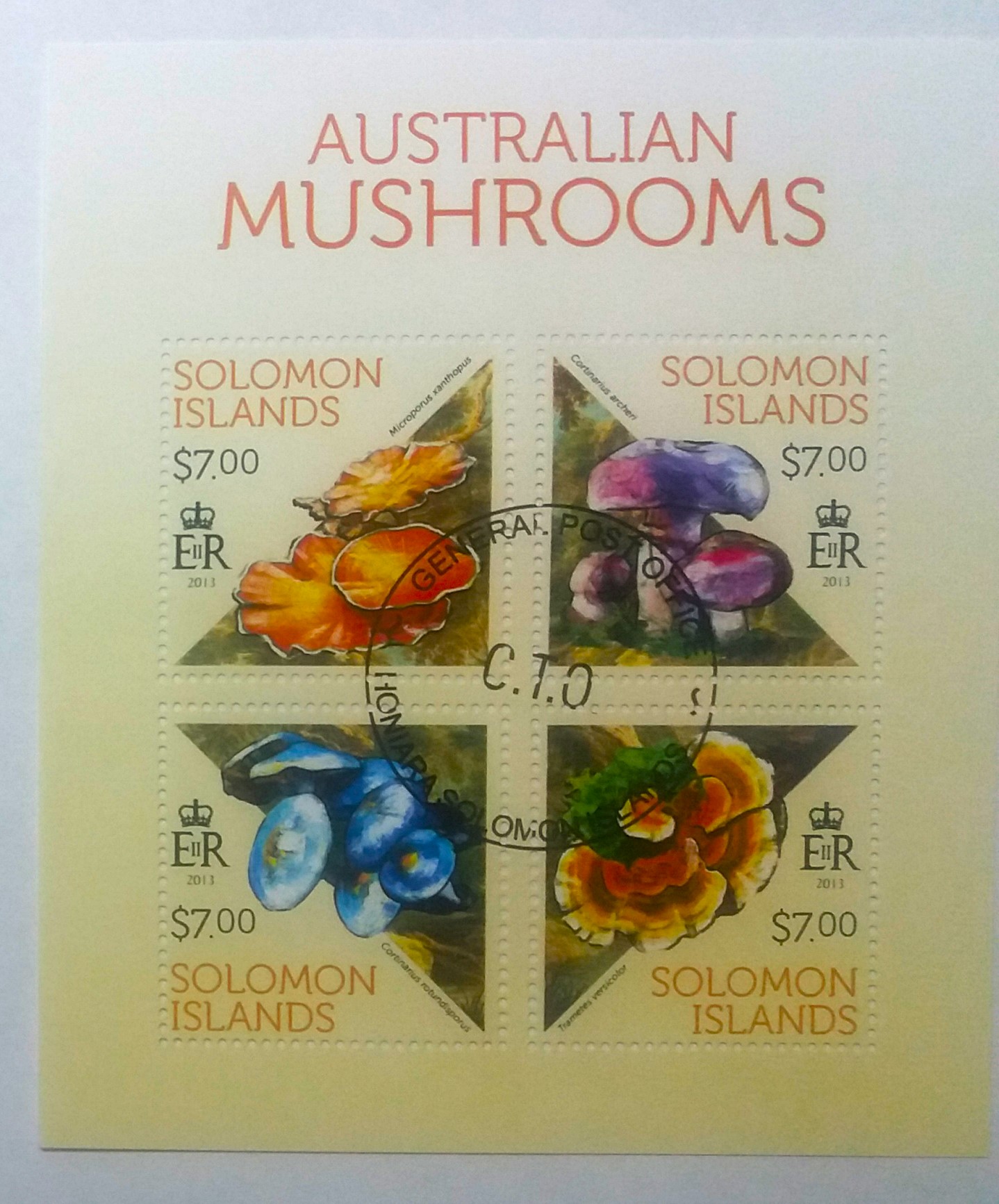 Aršík Solomon Islands - houby