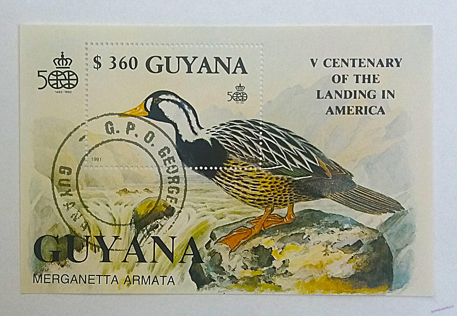 Aršík Guyana - kachny