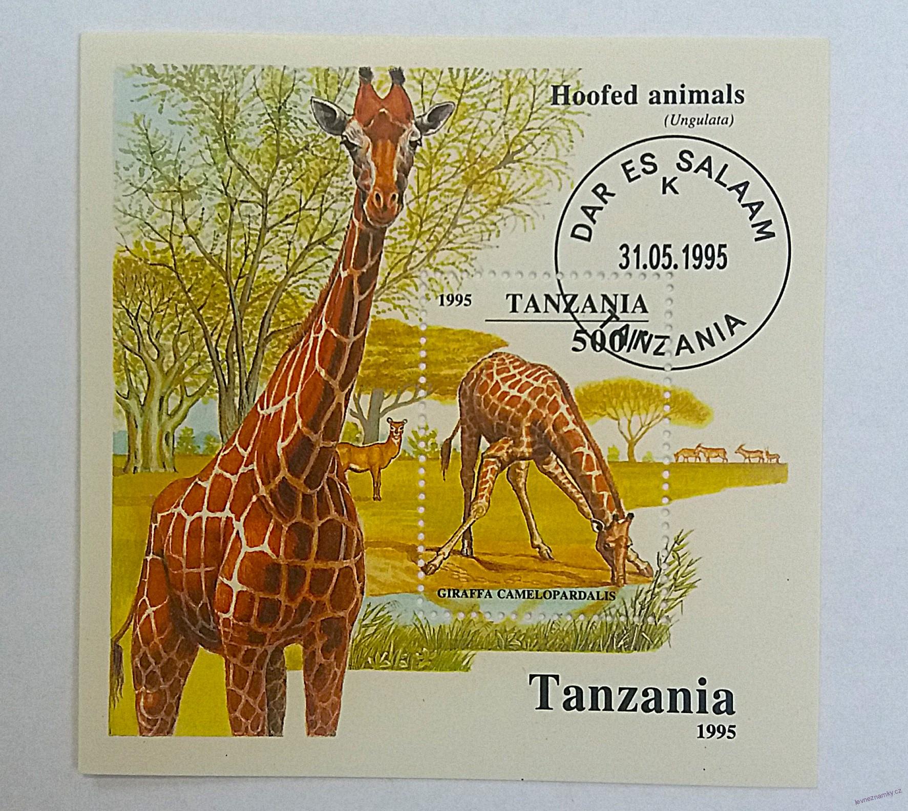 Aršík Tanzania - žirafy
