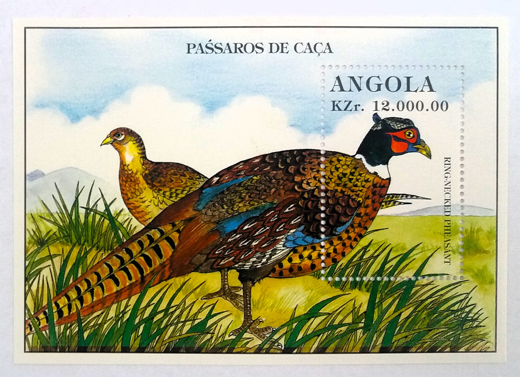 Aršík Angola - bažanti