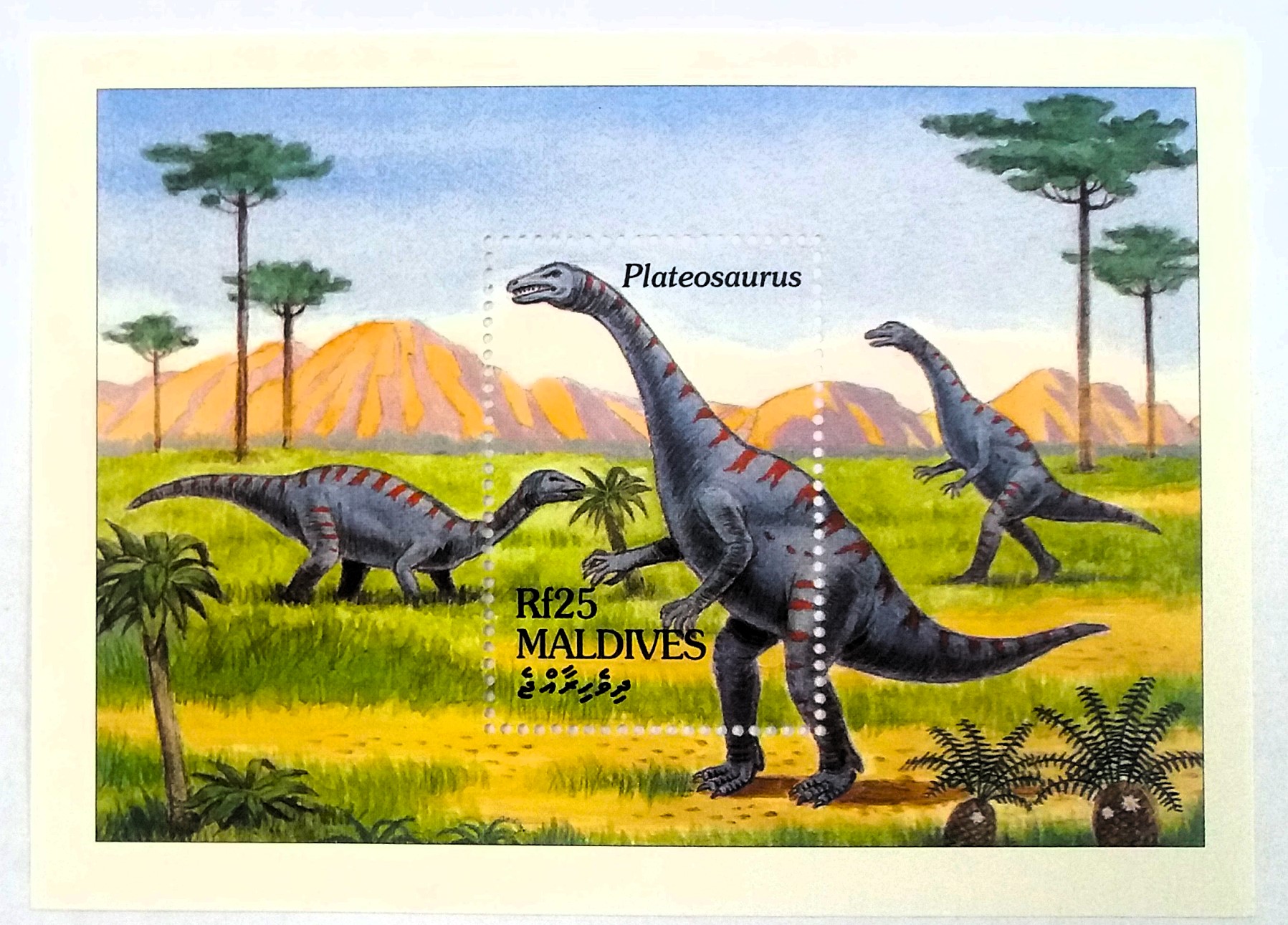 Aršík Maledivy - dinosauři