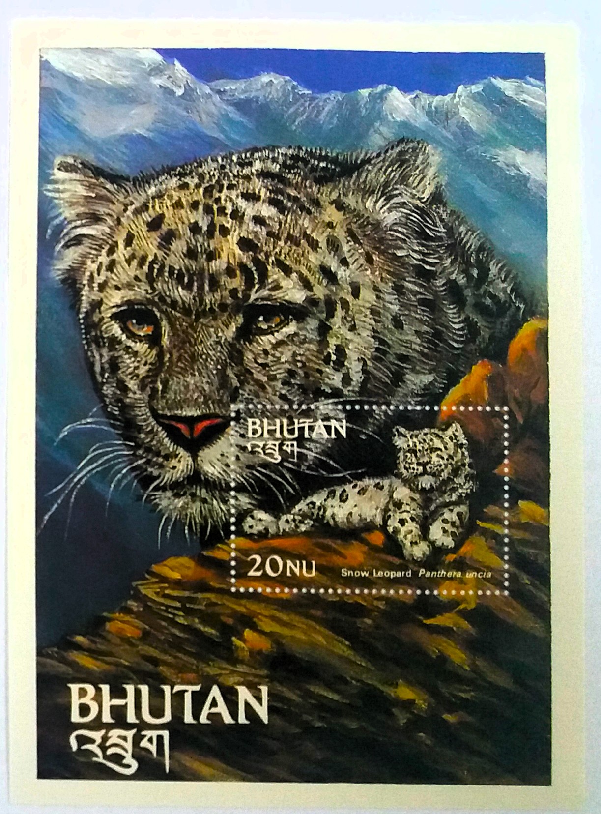 Aršík Bhutan - leopard