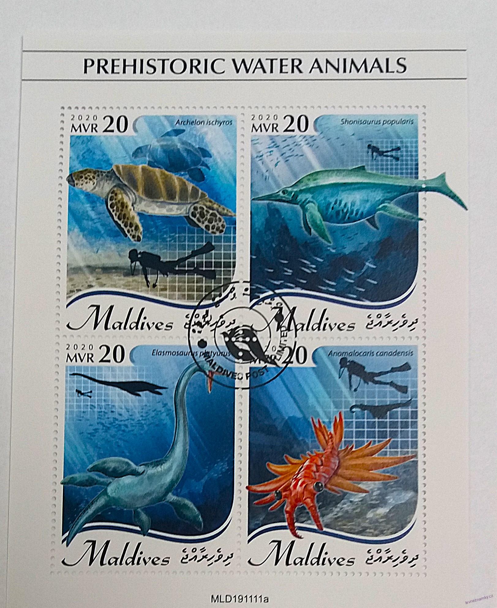 Aršík Maldives - prehistorická vodní zvířata