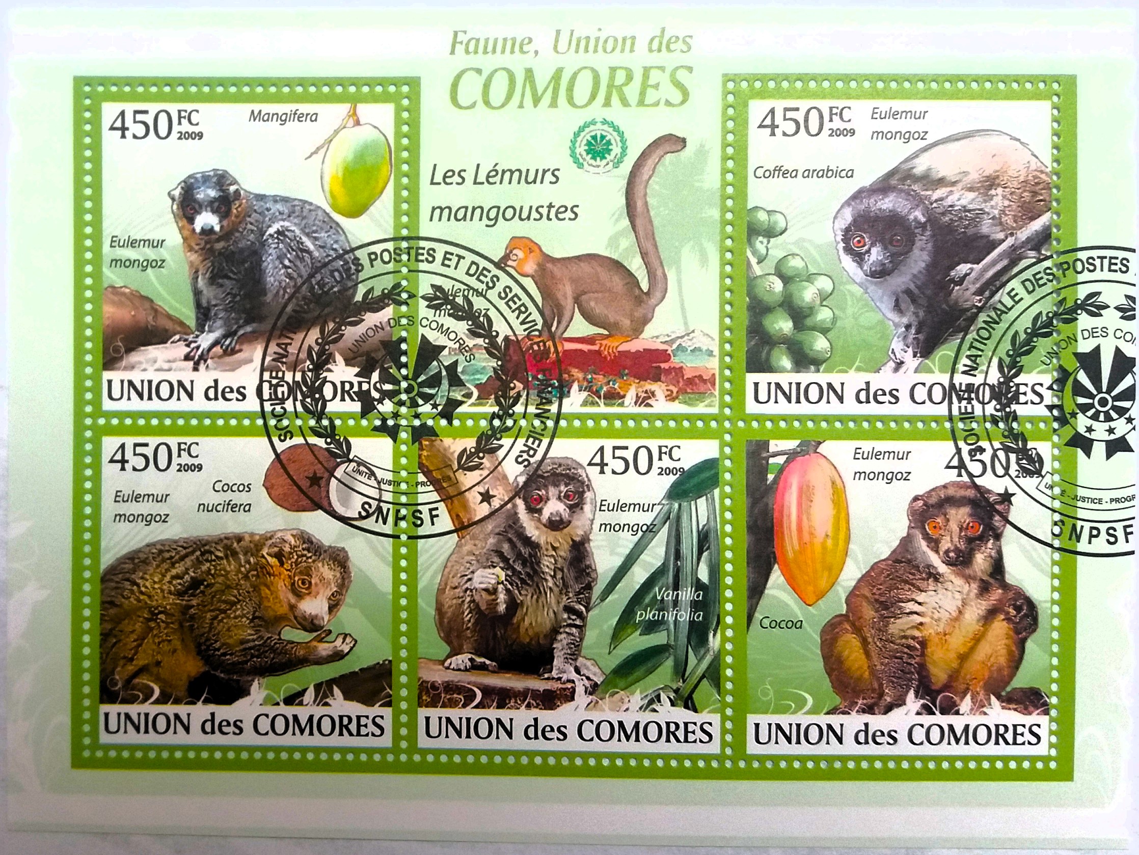 Aršík Comores - lemuři