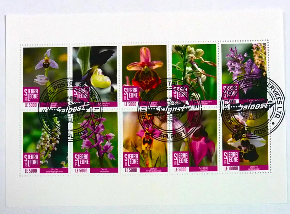 Aršík Sierra Leone - orchideje
