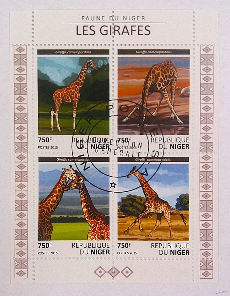 Aršík - Niger - žirafy