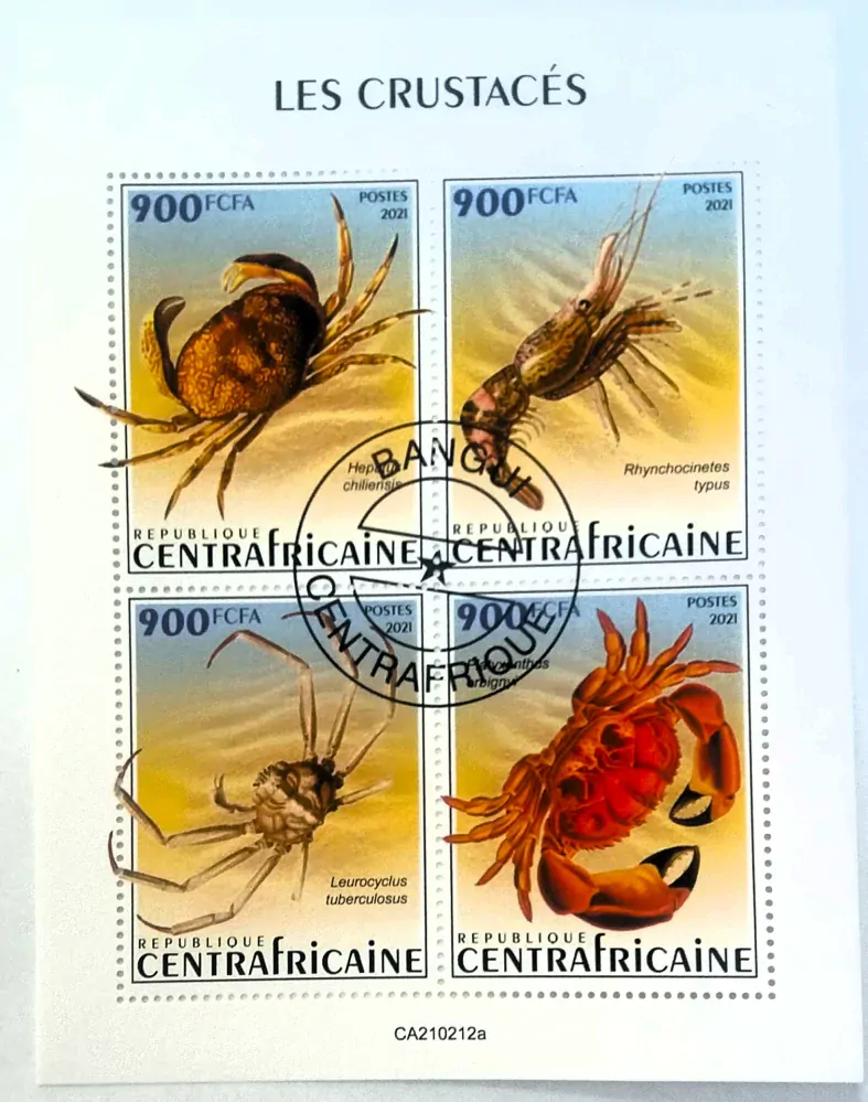 Aršík Centrafrica - krabi