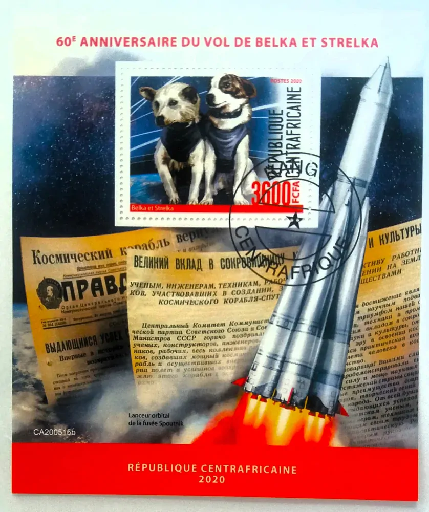 Aršík Centrafrica - kosmos
