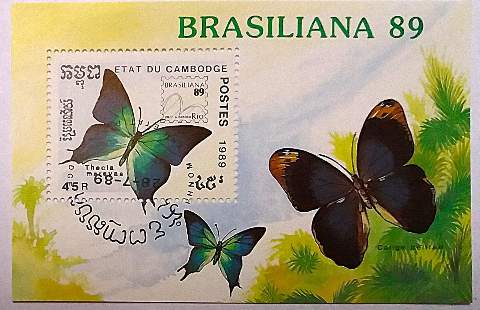 Aršík - Brasiliana - motýli