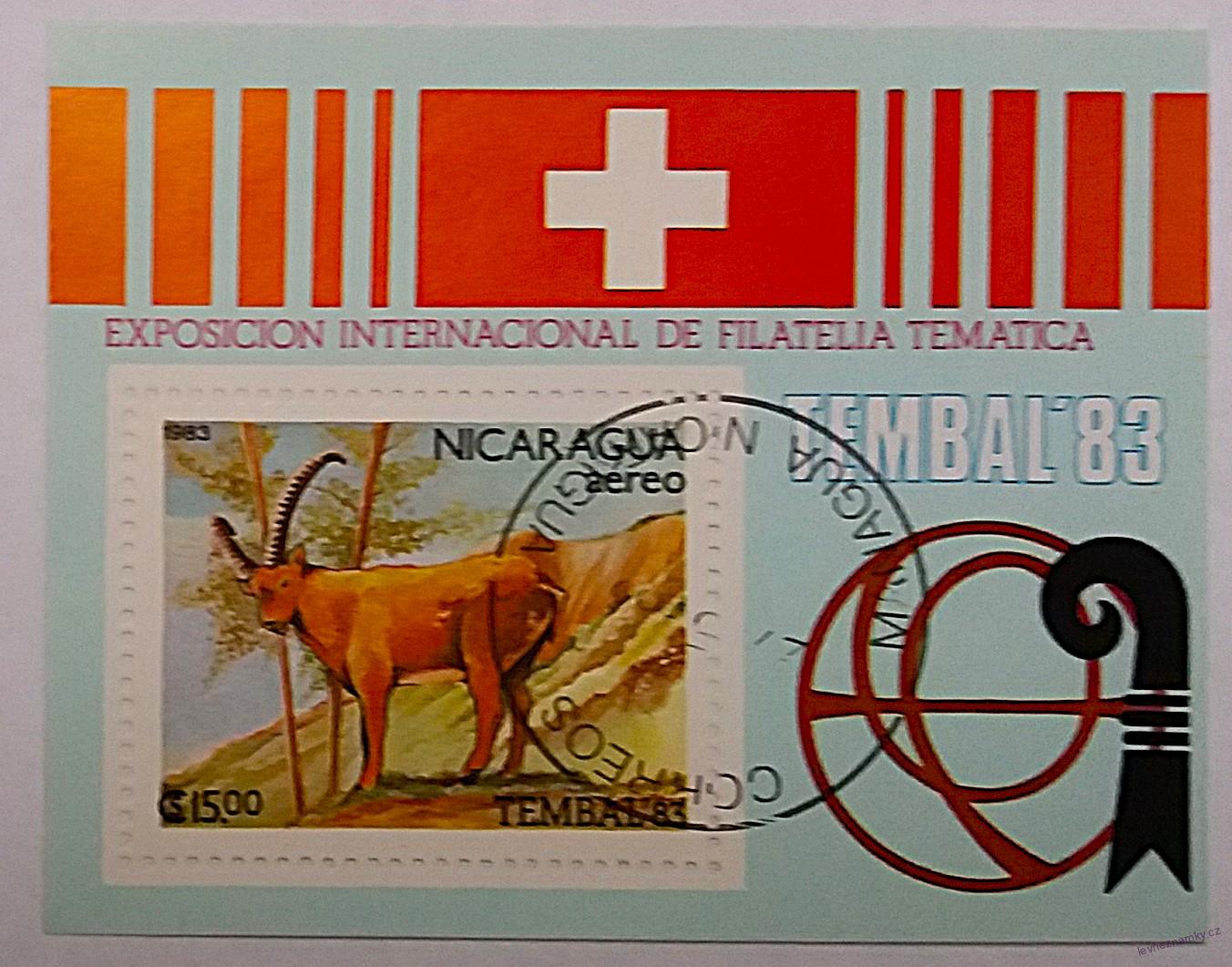 Aršík - Nicaragua - divoká fauna
