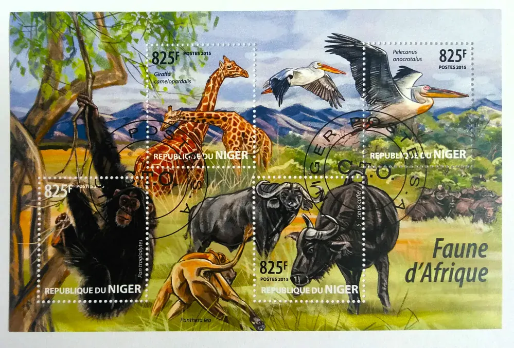 Aršík Niger - divoká fauna