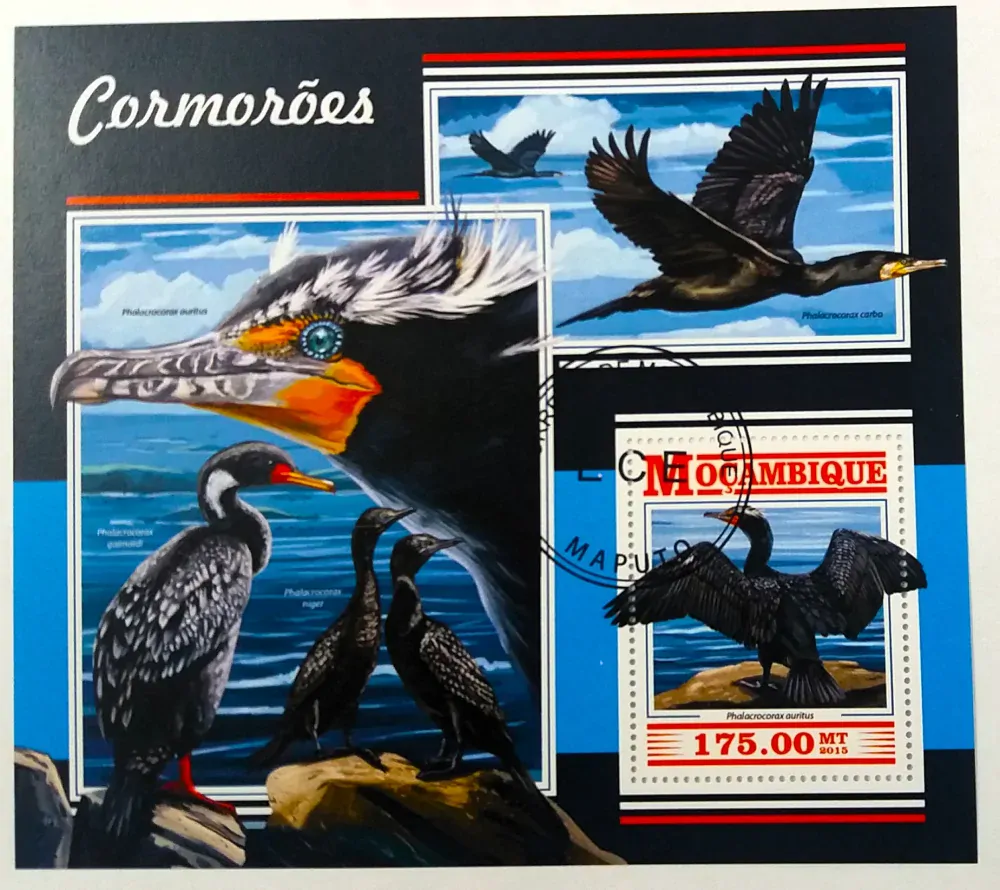 Aršík Mozambik - kormoráni