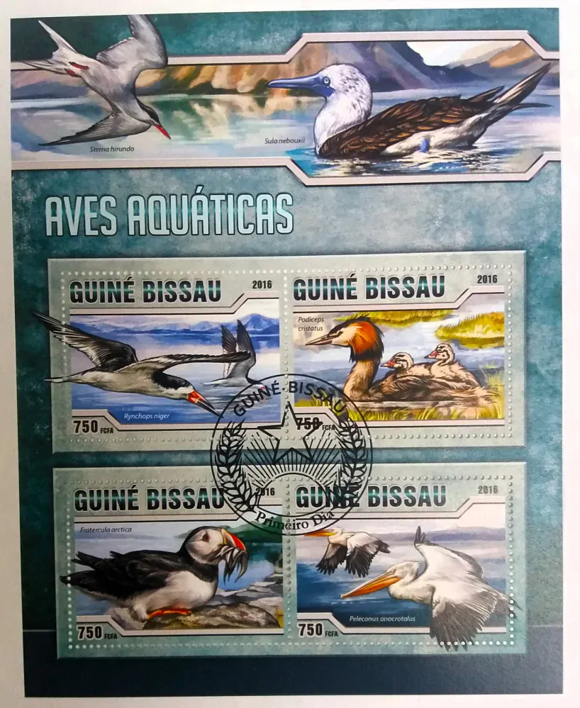 Aršík Guiné-Bissau - vodní ptáci