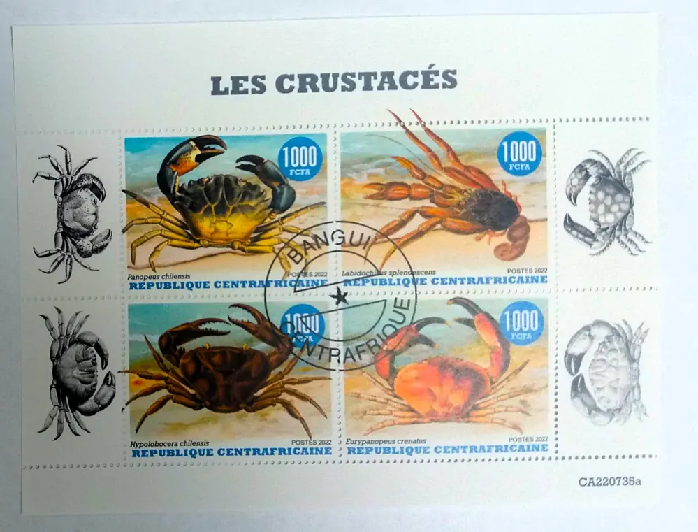 Aršík Centrafrica - krabi