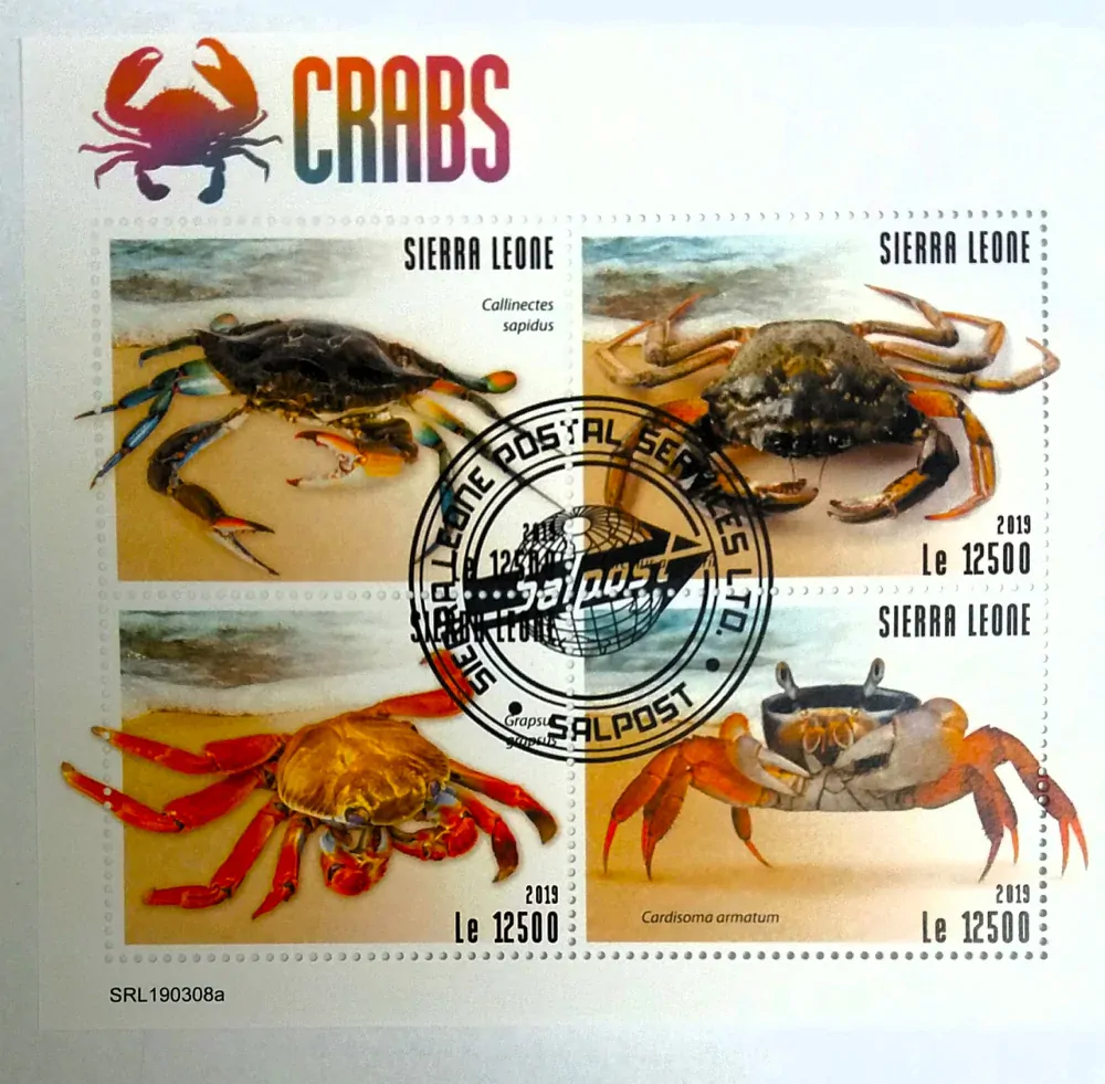 Aršík Sierra Leone - krabi