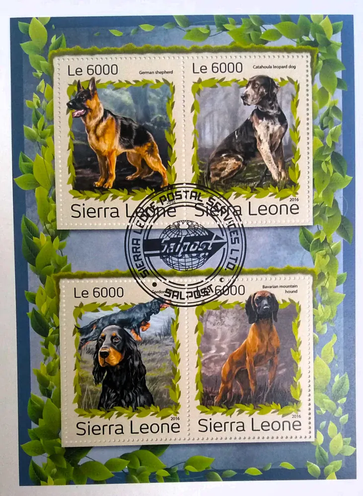 Aršík Sierra Leone - psi