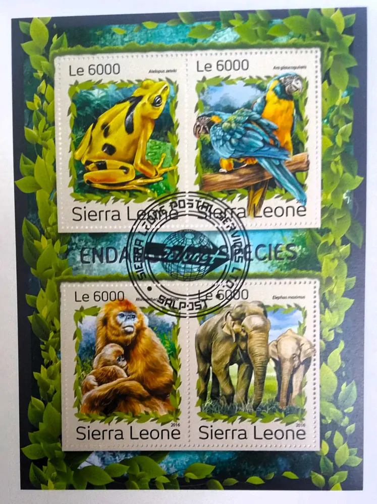 Aršík Sierra Leone - divoká fauna