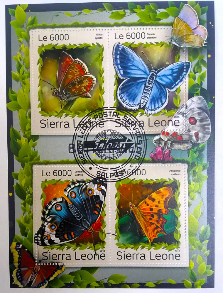 Aršík Sierra Leone - motýli