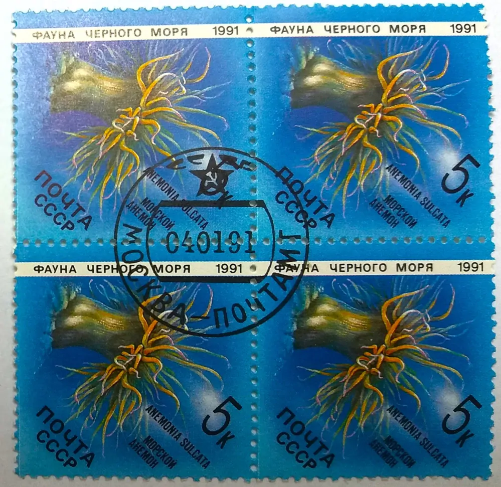 Čtyřblok známek SSSR, razítko - mořská fauna