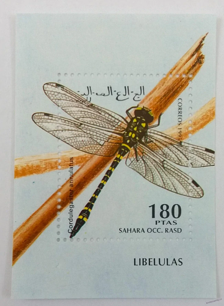 Aršík mini - Sahara OCC - hmyz - čistý