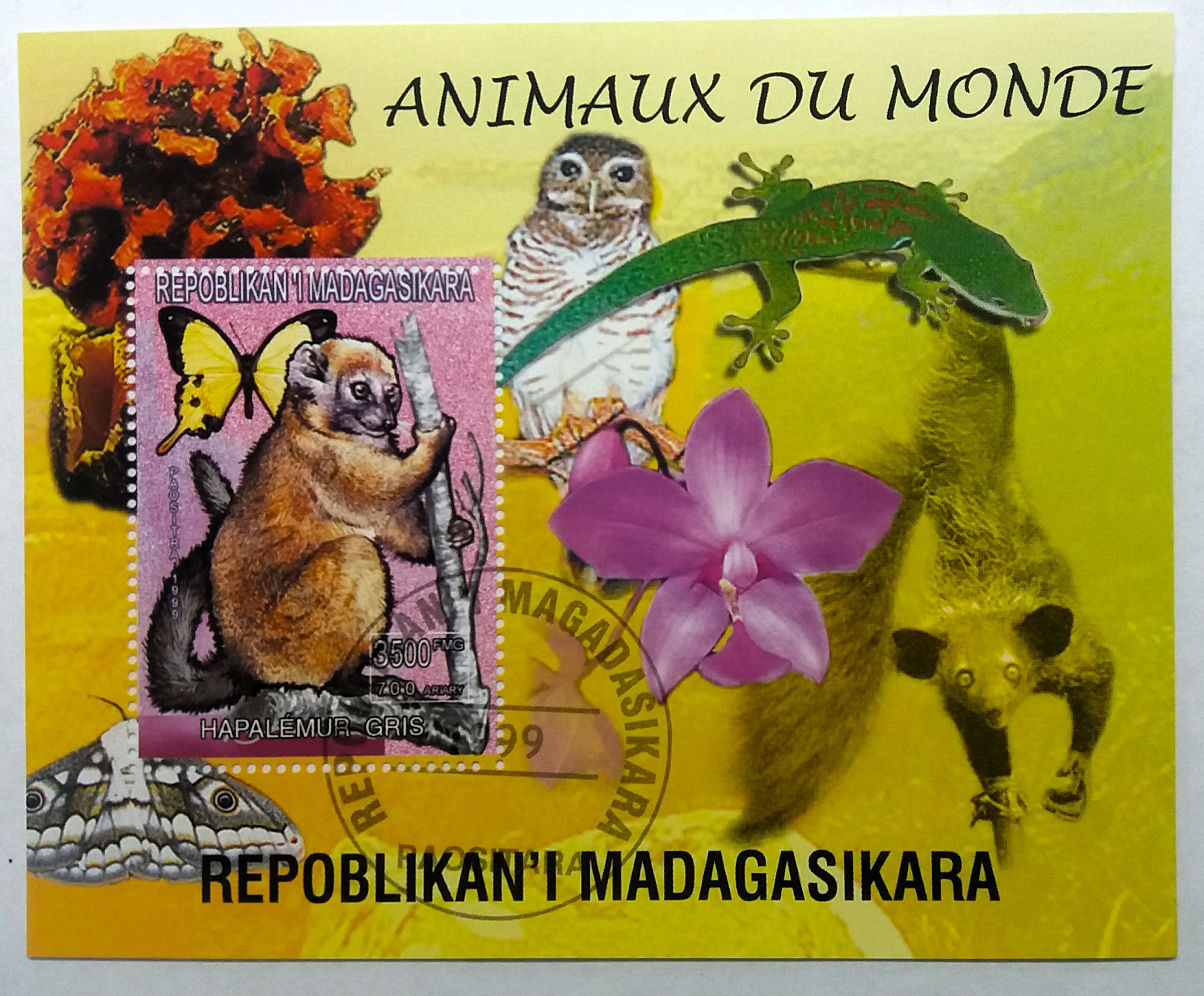 Aršík Madagasikara