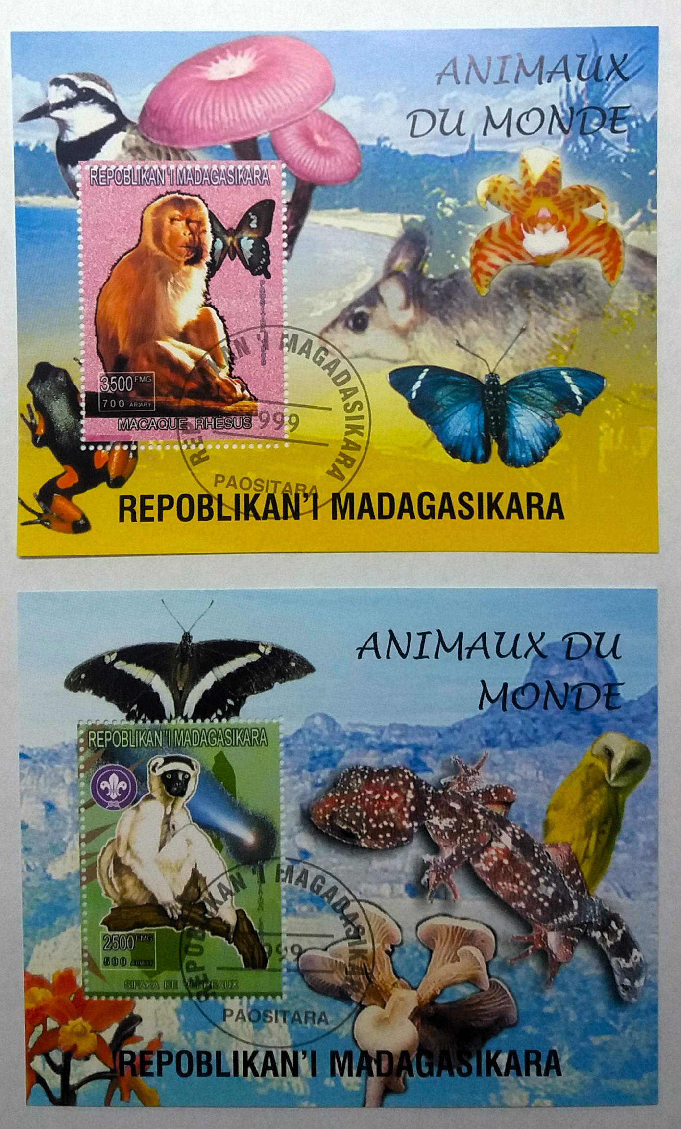 Sada aršíků Madagasikara - opice