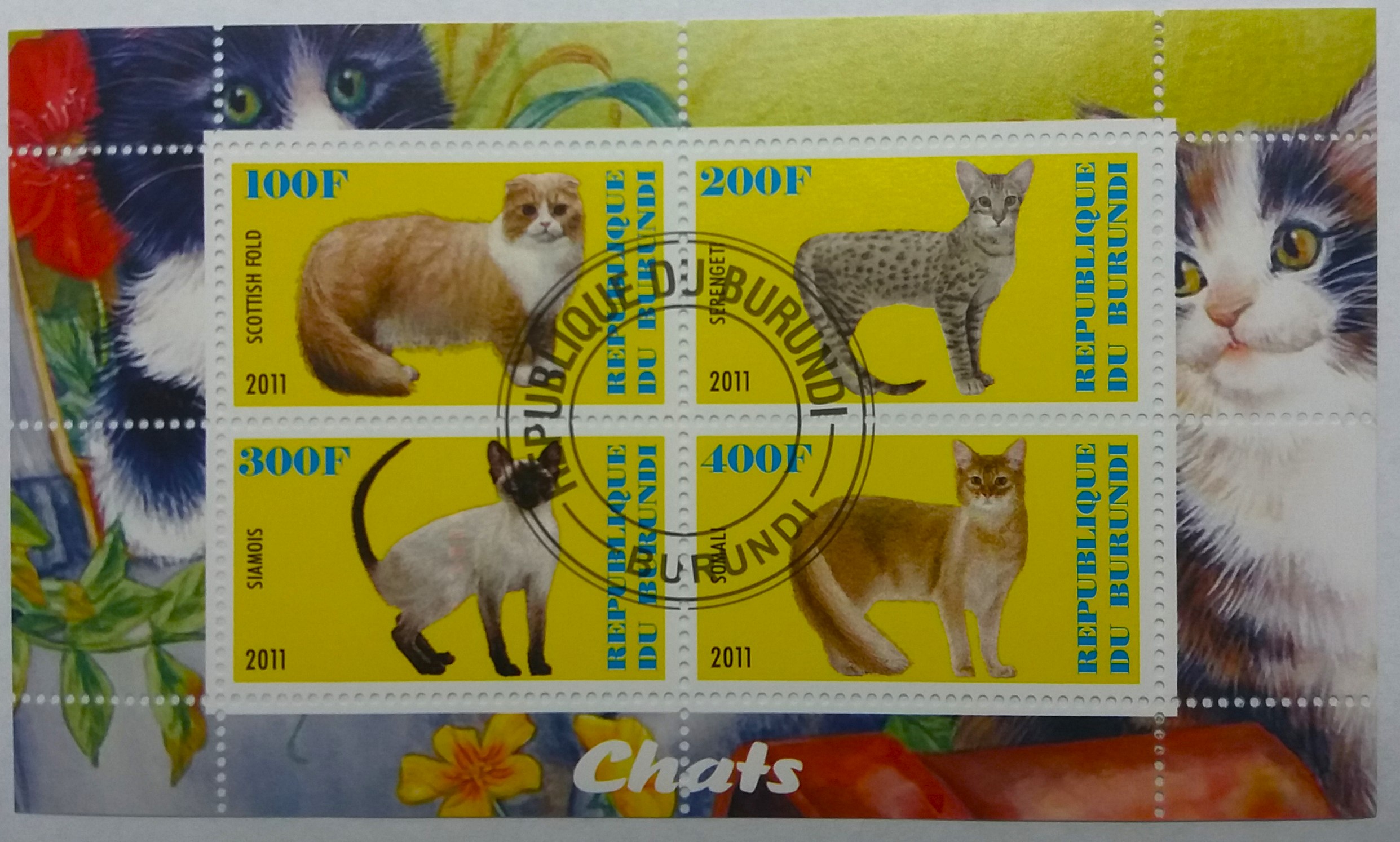 Aršík Burundi - kočky